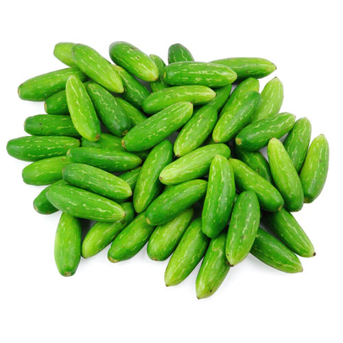 Shop Primary Image Shop Primary Image