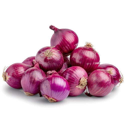 Shop Primary Image Shop Primary Image