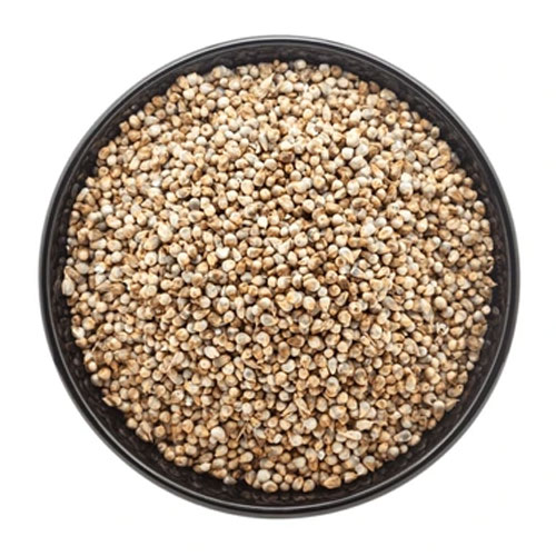 Shop Primary Image Shop Primary Image